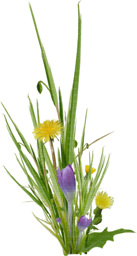 flowers/grass - PNG gratuit