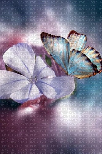 fleur papillon blanc bleu - png gratis
