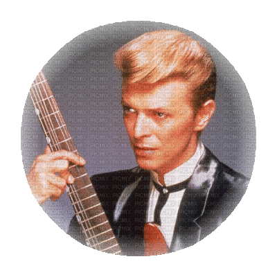 bowie - Free animated GIF