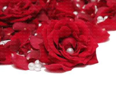pearls and roses - besplatni png