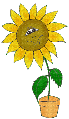 Sunflower - Ilmainen animoitu GIF