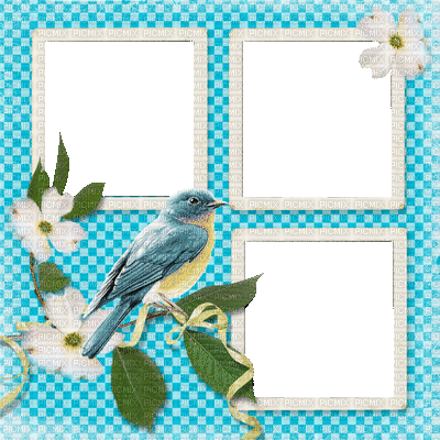 flower fleur blossom fond background blumen spring printemps   overlay frame cadre rahmen tube blue bird oiseaux - GIF animé gratuit