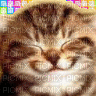 :3 cat - GIF animado grátis