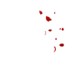 petalo - Nemokamas animacinis gif