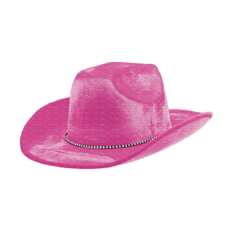 Pink Cowboy Hat - GIF animé gratuit