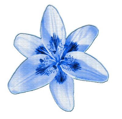 fleur - Gratis animeret GIF