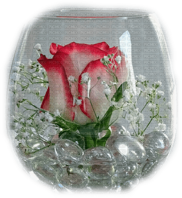 patymirabelle fleurs rose - 免费PNG