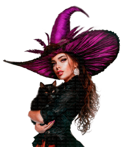Halloween witch with cat by nataliplus - ücretsiz png