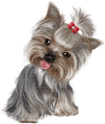 chien gif animation adam64 - δωρεάν png