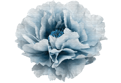 blue-flower - PNG gratuit