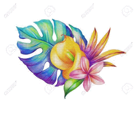 fleur, exotic flowers multicolor - Besplatni animirani GIF