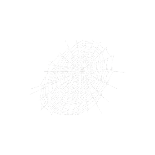 kikkapink deco scrap white spiderweb - ilmainen png