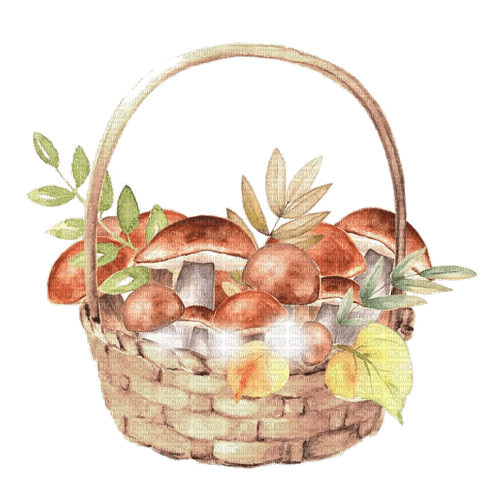 kikkapink deco autumn basket mushrooms - ingyenes png
