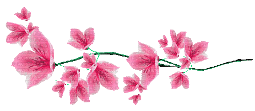 Animated.Flowers.Pink - By KittyKatLuv65 - Bezmaksas animēts GIF