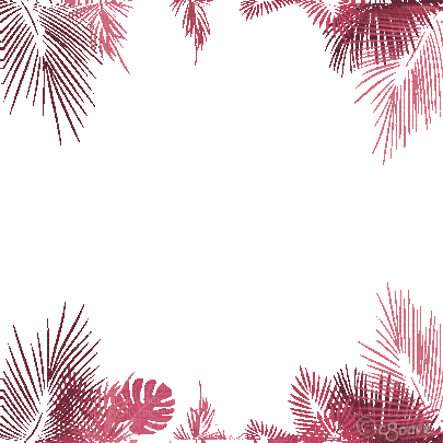 soave frame animated leaves tropical palm summer - Zdarma animovaný GIF