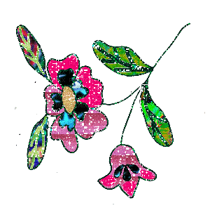 flores - Δωρεάν κινούμενο GIF