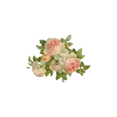 vintage painted roses pink and white - nemokama png