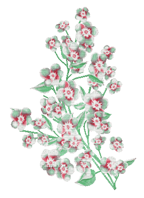 soave deco branch spring flowers animated - Δωρεάν κινούμενο GIF