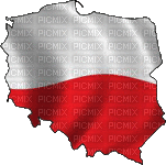 flaga Polska - Darmowy animowany GIF