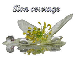 bon courage - 無料のアニメーション GIF