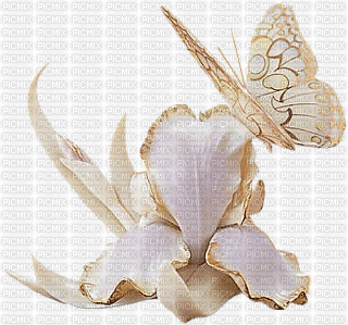 Butterfly - Δωρεάν κινούμενο GIF