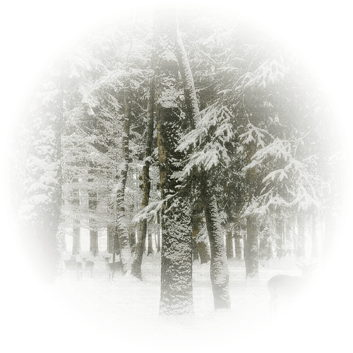 winter forest Bb2 - безплатен png