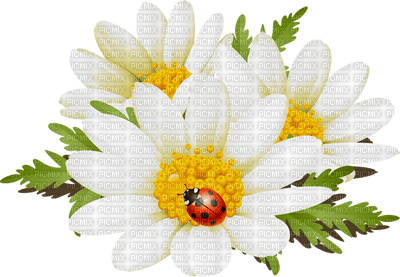 Kaz_Creations Deco Flowers Ladybug - безплатен png