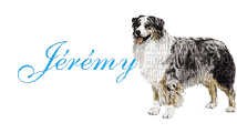 jérémy - Δωρεάν κινούμενο GIF