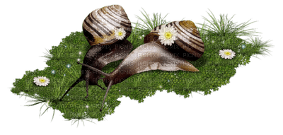 Kaz_Creations Snails Snail - zdarma png