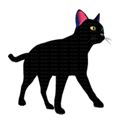 chat noir et oreille rose - Gratis geanimeerde GIF