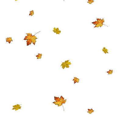 feuilles automne - Free animated GIF