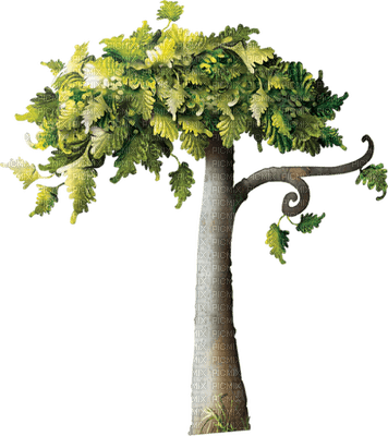 Kaz_Creations Trees Tree - 免费PNG