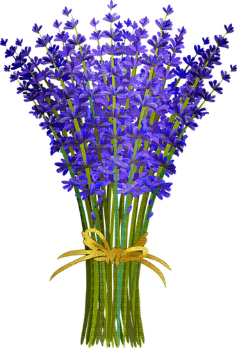 lavender lavendel lavande flower fleur blossom blumen deco tube spring printemps fleurs - 免费PNG