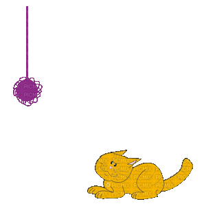 cat chat katze animal fun tube  gif anime animated animation - GIF animate gratis