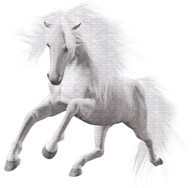 white stallion - png gratuito