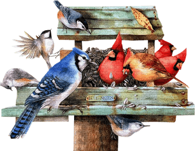 Birds - besplatni png