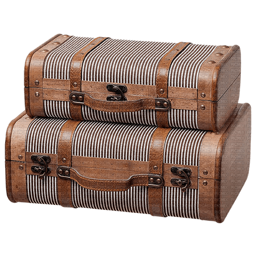 Suitcases. Leila - ücretsiz png