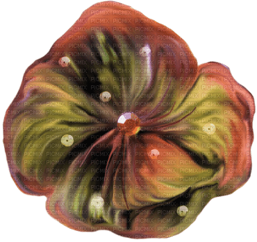 Kaz_Creations Deco Flowers Flower  Colours - бесплатно png