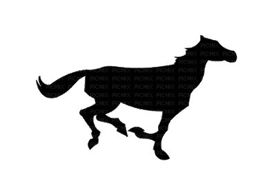 aze cheval sl noir black - Ücretsiz animasyonlu GIF