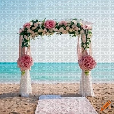 Beach Wedding Arch - gratis png
