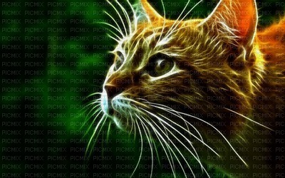 Kaz_Creations Deco Cats Backgrounds Background - gratis png