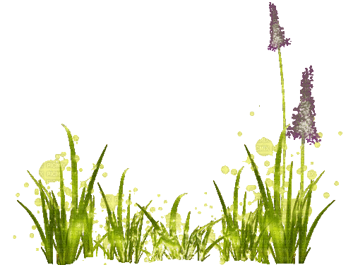 Трава - Gratis animerad GIF