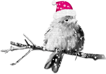 soave deco bird branch christmas winter black - darmowe png