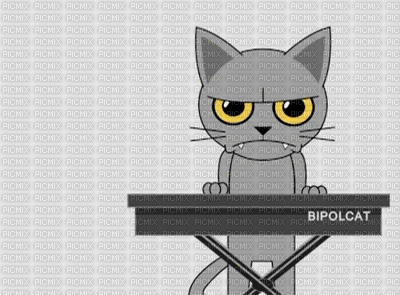 gatto - 免费动画 GIF