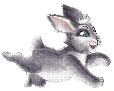 cecily-lapin dessin - bezmaksas png