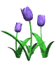 cvijeće - Animovaný GIF zadarmo