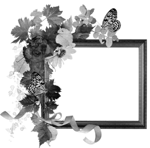 flowers frame black and white - png grátis