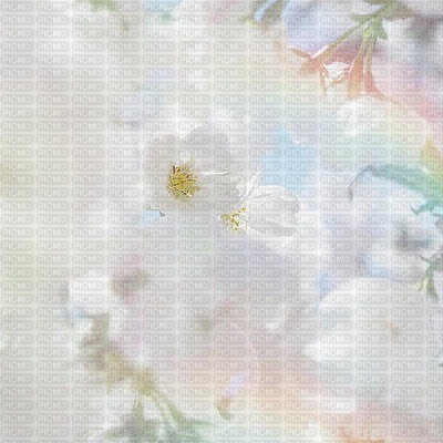 Background Spring Blossom - 無料png