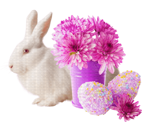 пасха заяц, цветы,Карина - zadarmo png