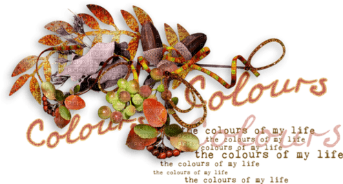 loly33 texte color autumn - бесплатно png